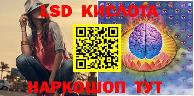 молекула духа Кулебаки
