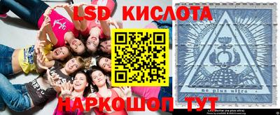 молекула духа Кулебаки