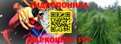 молекула духа Кулебаки
