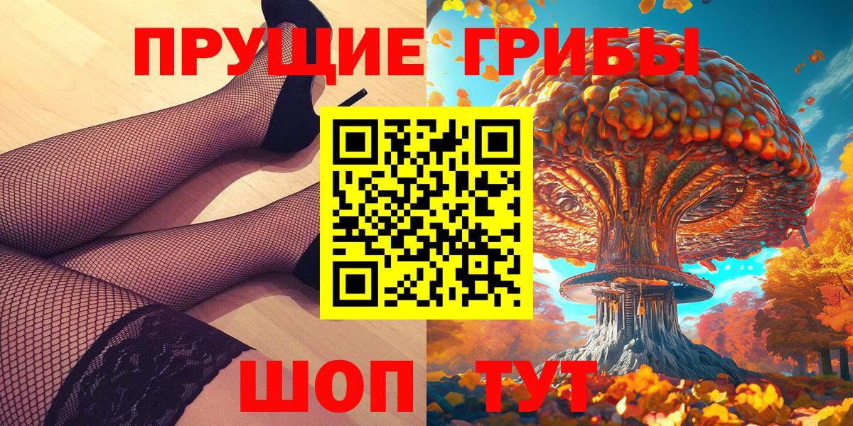 Галлюциногенные грибы GOLDEN TEACHER  магазин продажи наркотиков  Кисловодск  Вход с VPN 