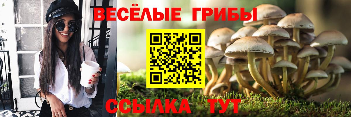 Псилоцибиновые грибы Magic Shrooms Кисловодск